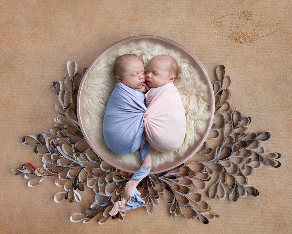 baby photographer newborn twins