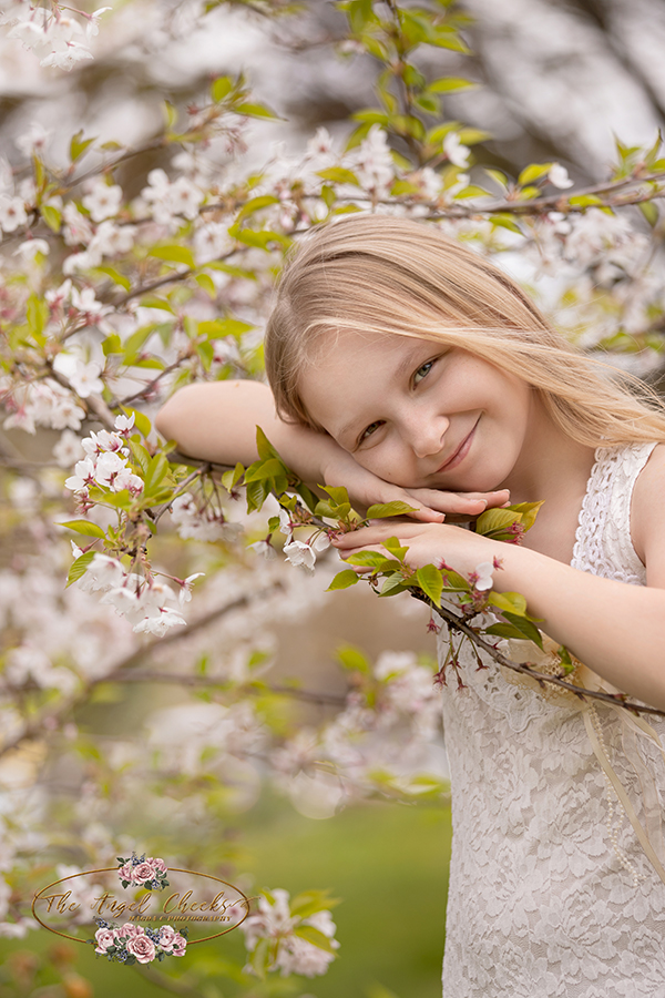amazing blossom white flakes sweet child photography